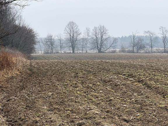 4th image of 5126 Sheldon Rd