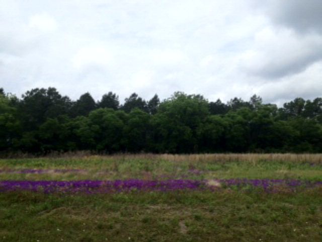 2nd image of 402 Winifred Rd