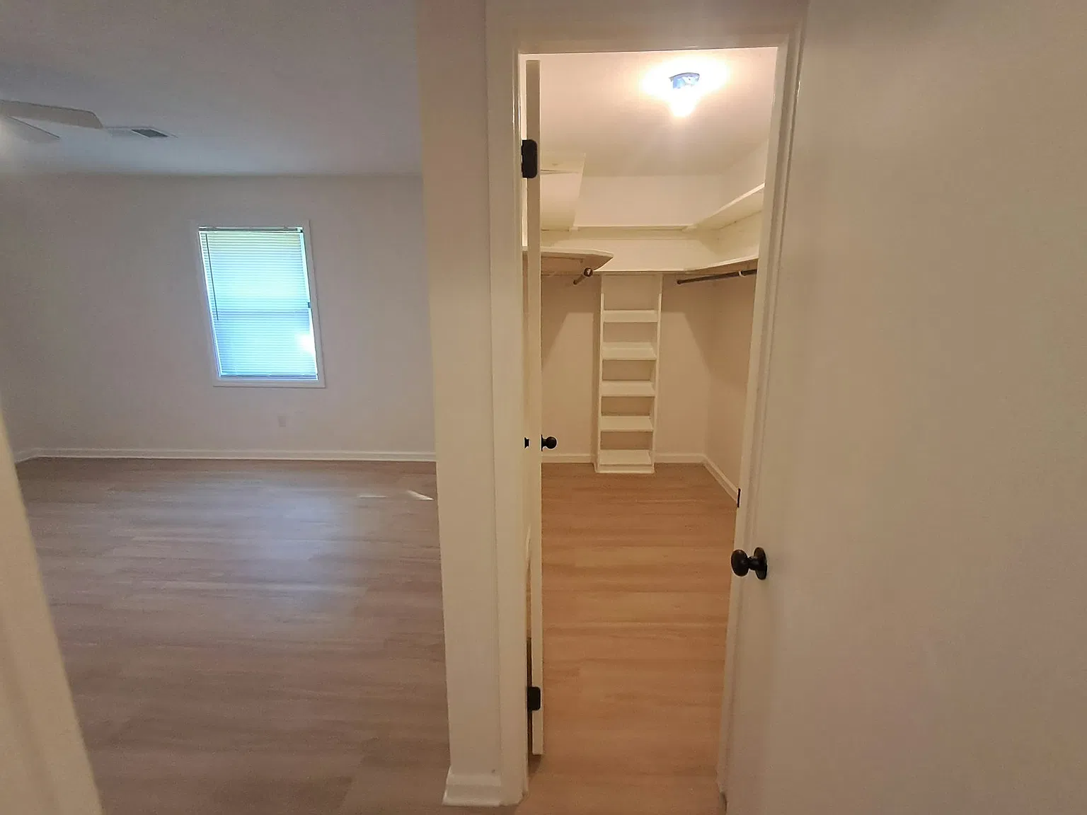 253 Meyer St — Photo 3