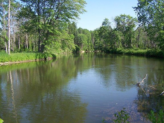 3rd image of 8545 Long Rapids Road 20.27 Acres