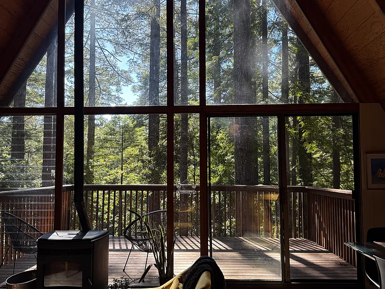 living room with grand views and pellet stove for heat