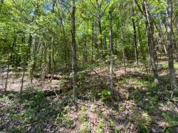 (undisclosed Address), Russellville, AR 72801