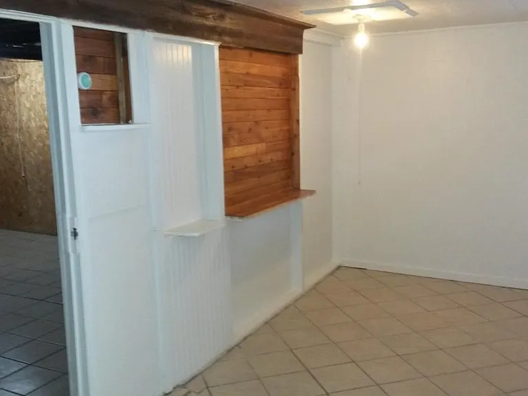Downstairs bedroom
