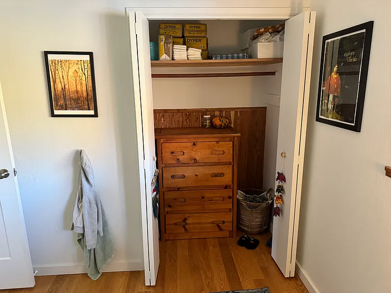 The downstairs bedroom 3 closet
