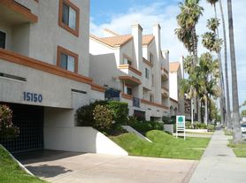 Palm Terrace