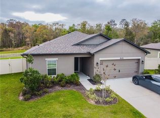 18690 Alfaro Loop, Spring Hill, FL 34610