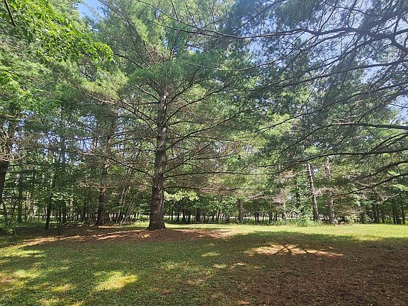 5th image of 57 Berkshire Dr