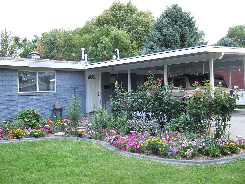 front yard in summer