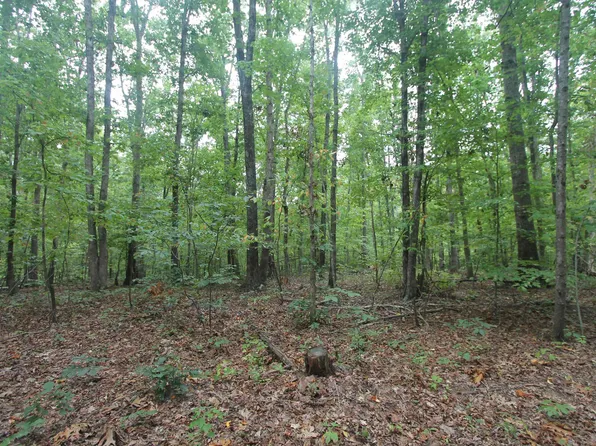 845 Racoon Rdg, Scottsville, VA 24590