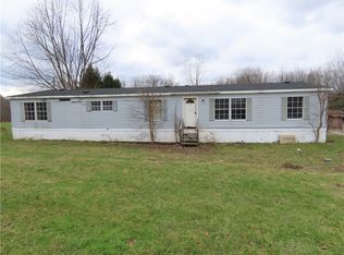 13381 Craine Rd, Red Creek, NY 13143
