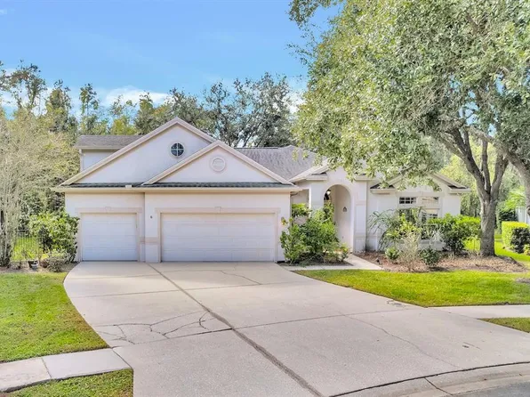 10218 Shadow Branch Dr, Tampa, FL 33647