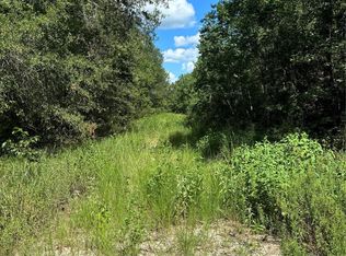 Lake Forest Rd Lot 384, Livingston, TX 77351
