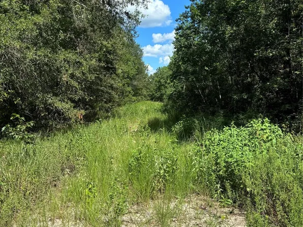 Lake Forest Rd Lot 384, Livingston, TX 77351