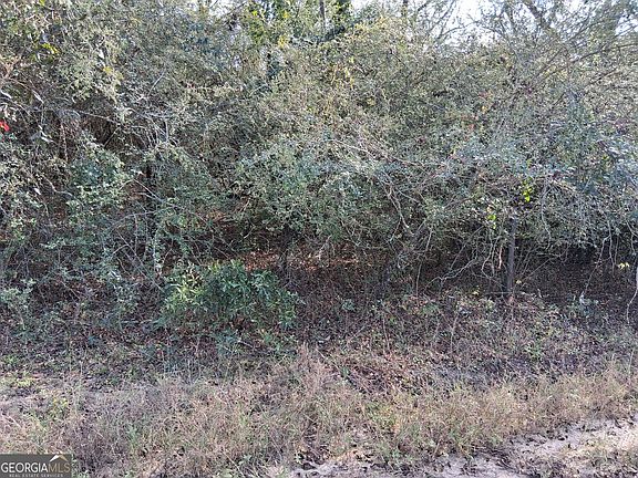 3rd image of 0 Tennille Harrison Rd