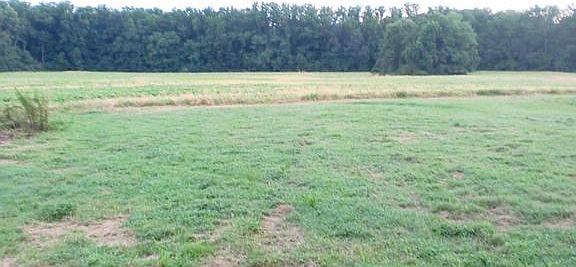 Backs to field/trees.Deer in view. Protected land