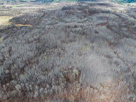 4th image of Richmond Rd SW