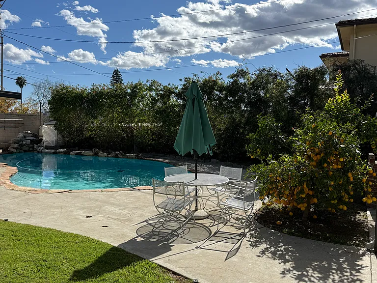 Backyard with grass area, pool, patio furniture and umbrella, avocado and lemon trees.