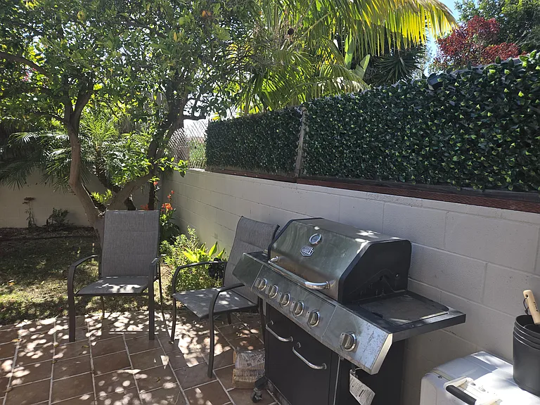Backyard patio with lemon tree