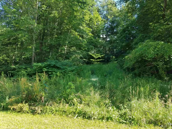 0 Furnace Road, Brandon, VT 05733