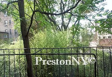 Rented by JM Preston Properties LLC