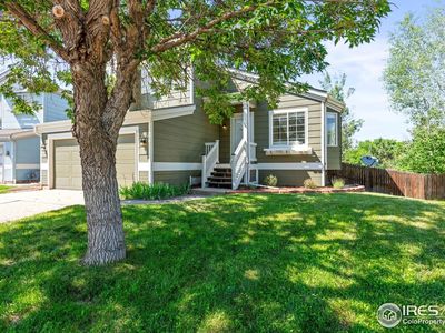 1595 Bain Dr, Erie, CO, 80516