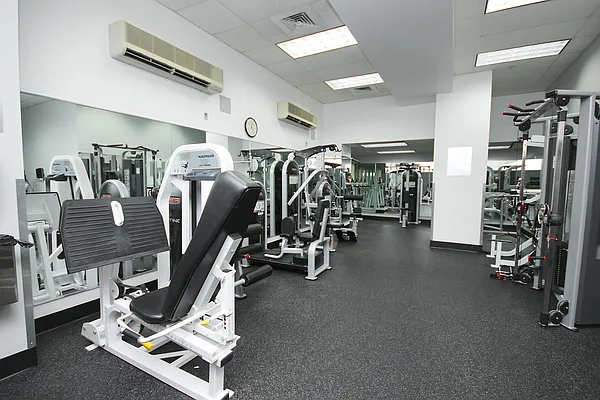 Rented by Luminous Realty | media 23