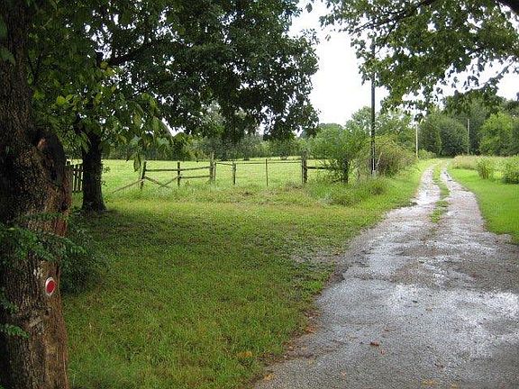 3rd image of 233 Hugh Carrington Ln