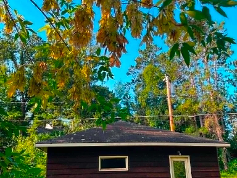 109 Lakeview Blvd — Photo 3