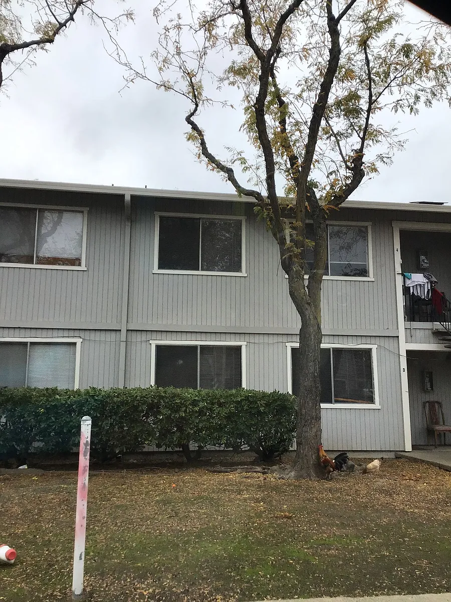 Building Photo - 1460 Whyler Rd