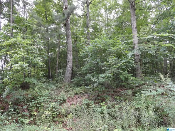 630 Laguna Cir #8, Warrior, AL 35180