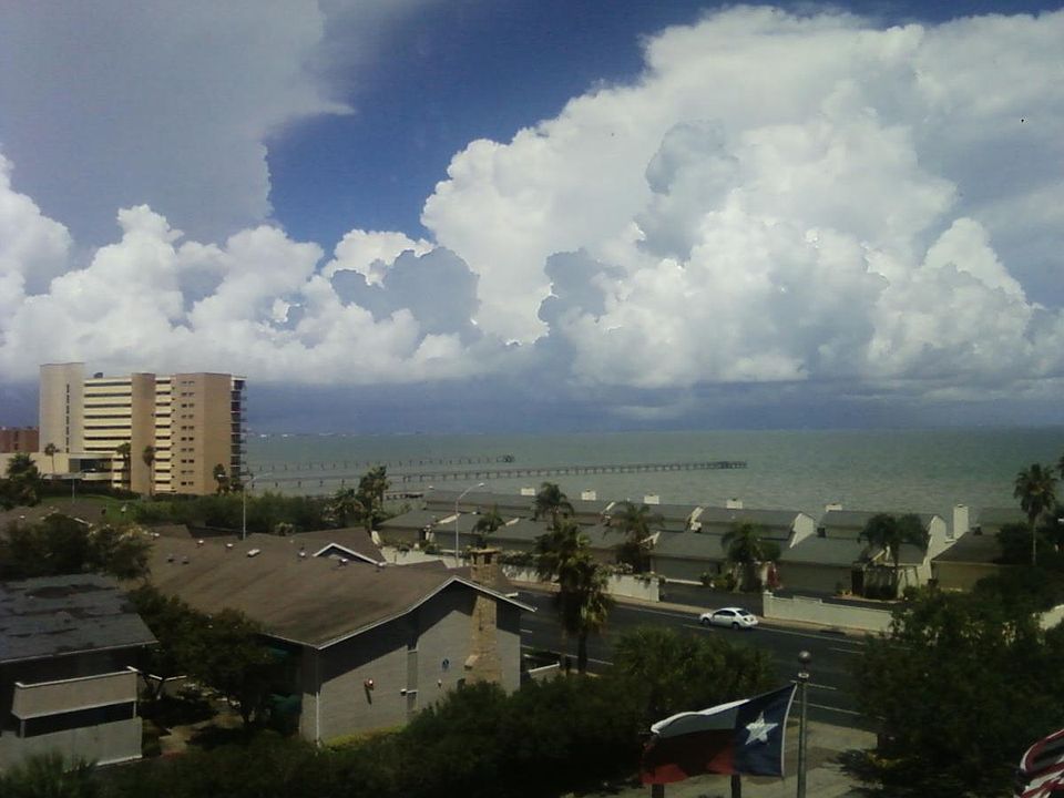 1st image of 4600 Ocean Dr APT 506