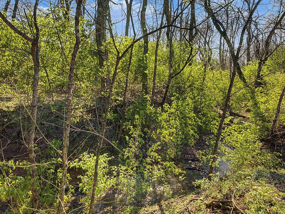 50th image of this home