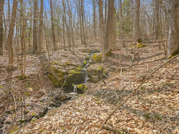 L9113 Lutheranville Rd, Summit, NY 12175