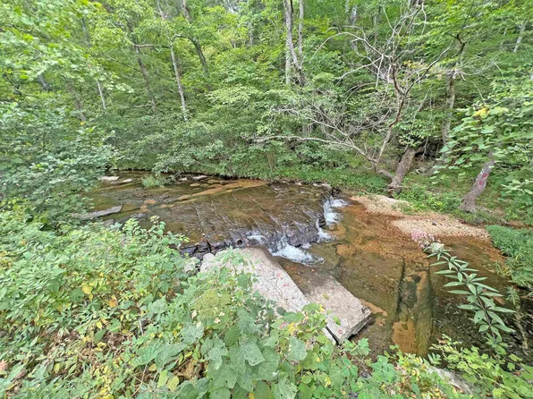 Double Branch Rd, Collinwood, TN 38450