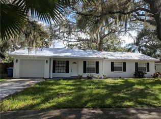 1009 Hallwood Loop, Brandon, FL 33511