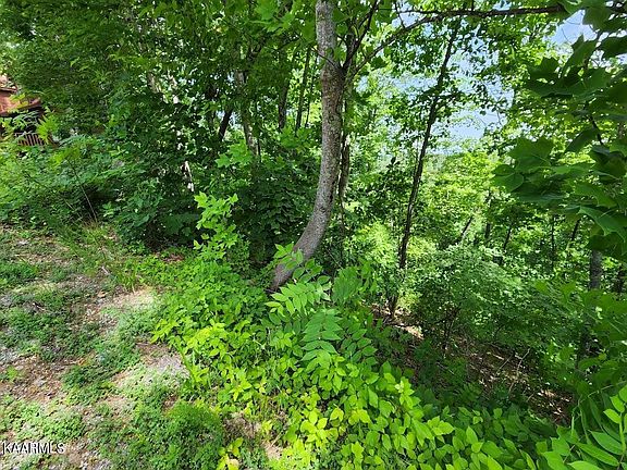 5th image of 0 High View Ct Lot 601