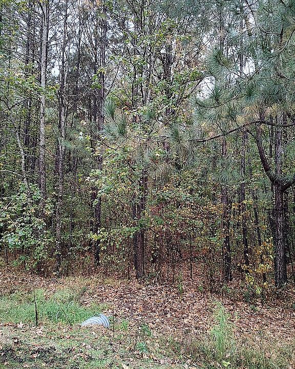 2nd image of Tree Top Ln