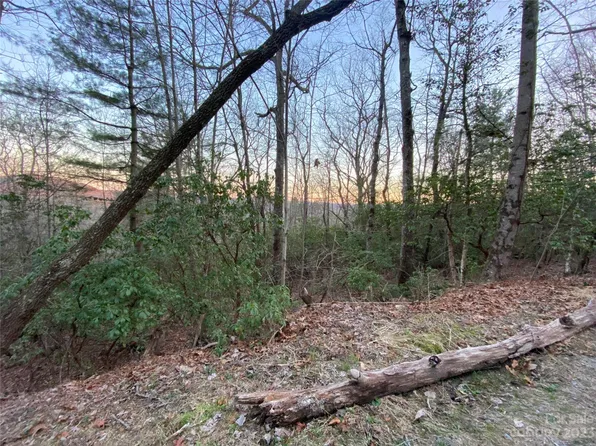 5C Dogwood Cir, Penrose, NC 28766