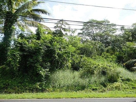 1st image of Kahakai Blvd Lot 1268