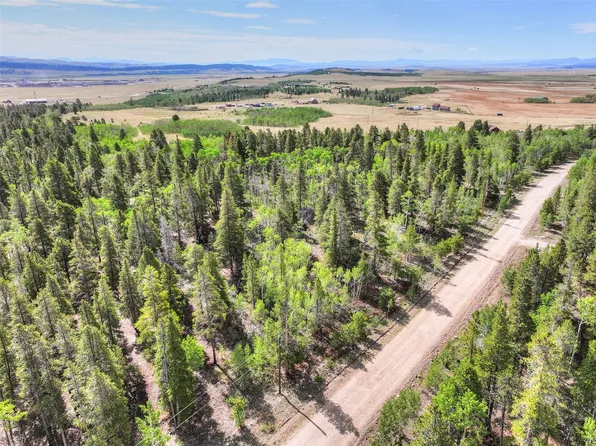 198 Green Bottle Circle, Fairplay, CO 80440