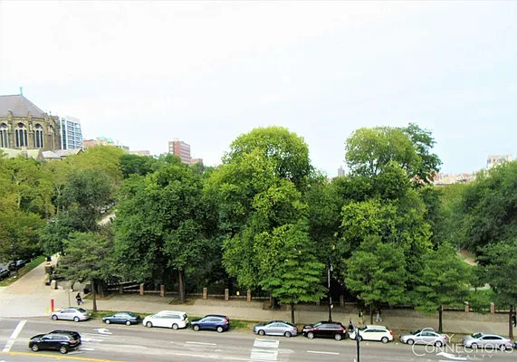 Rented by City Connections Realty | media 8