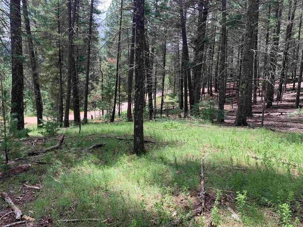 Bear Spring Rd #2, Cloudcroft, NM 88317