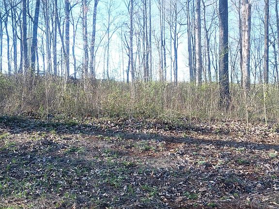 3rd image of 0 Ellis Woods Loop Lot 10B