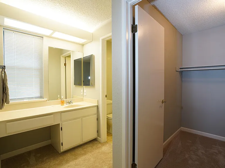 Master Bathroom and walk-in closet