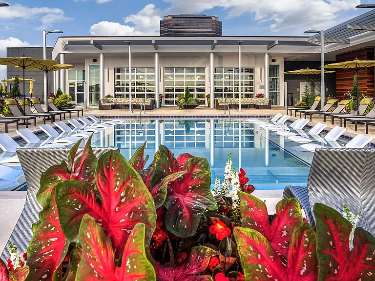 The rooftop resort-style pool with Atlanta skyline views is stunning