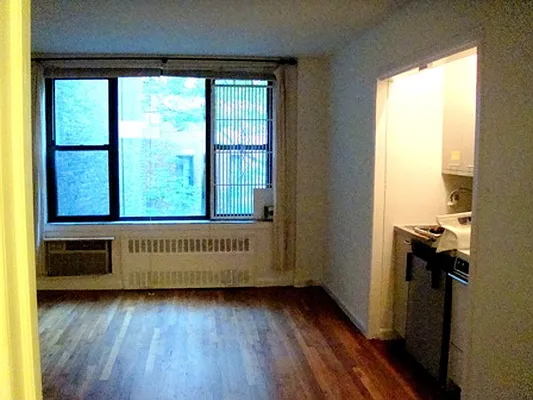 Rented by Eric Goodman Realty Corp | media 11