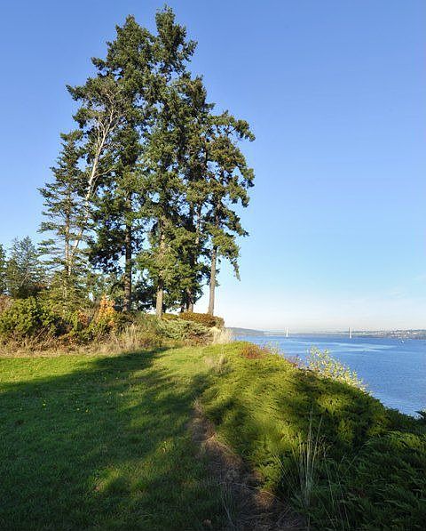 Looking North to the Narrows