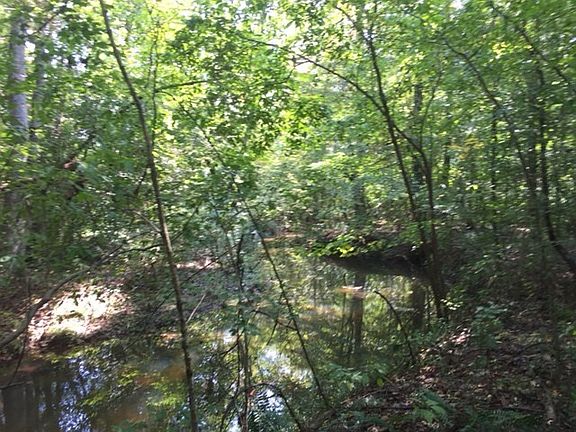 4th image of 0 Lee Road 70