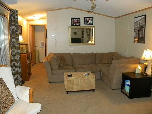 Big windows for light