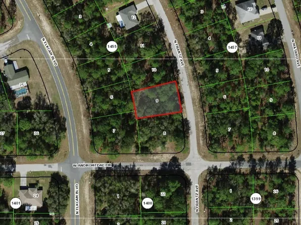 11038 N Frantz Ave, Citrus Springs, FL 34434